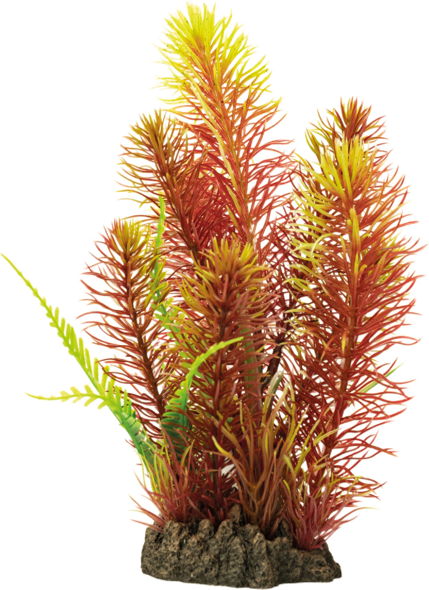 SuperFish aquarium decoratie kunstplant Myriophyllum rood 6 x 10 x 25 cm