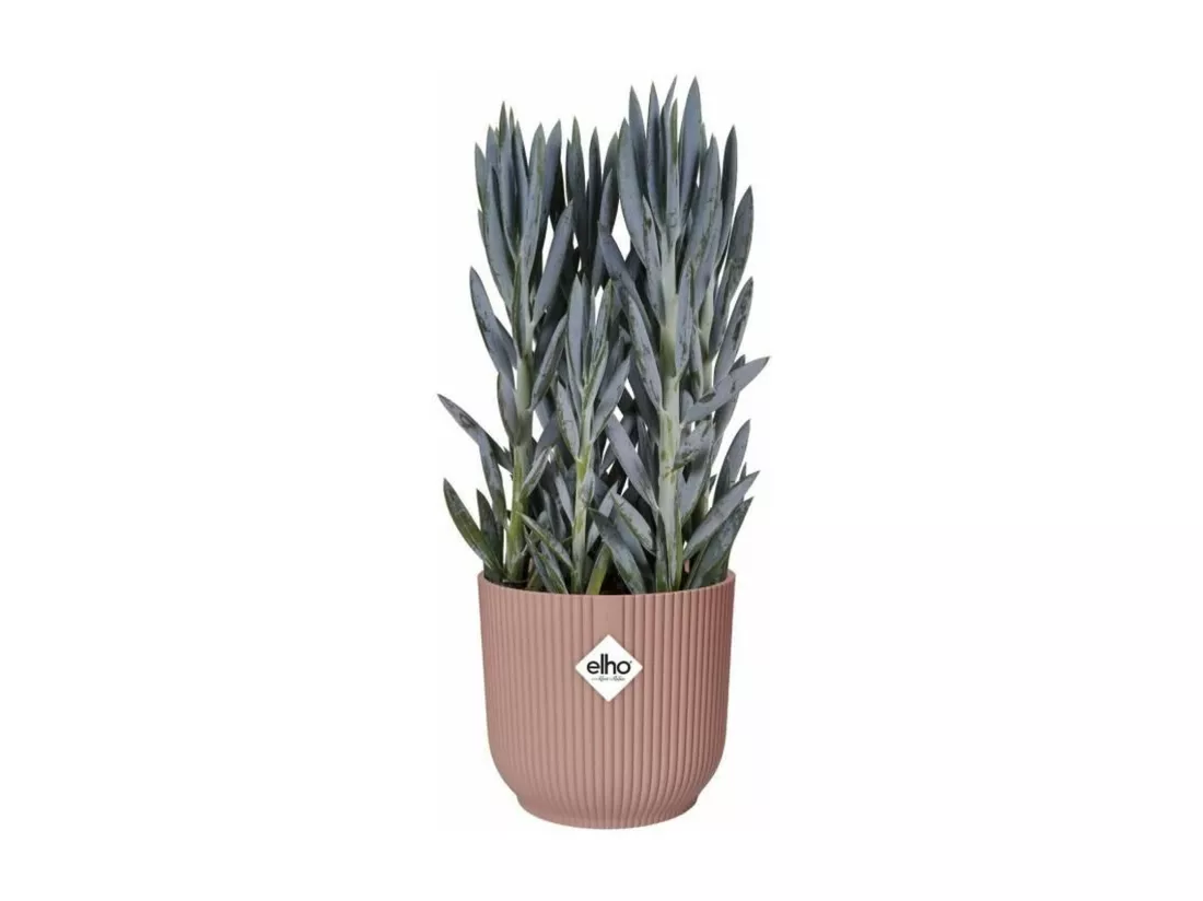 Pot de fleurs Rond VIBES - Plastique - Ø 25 - Rose poudré