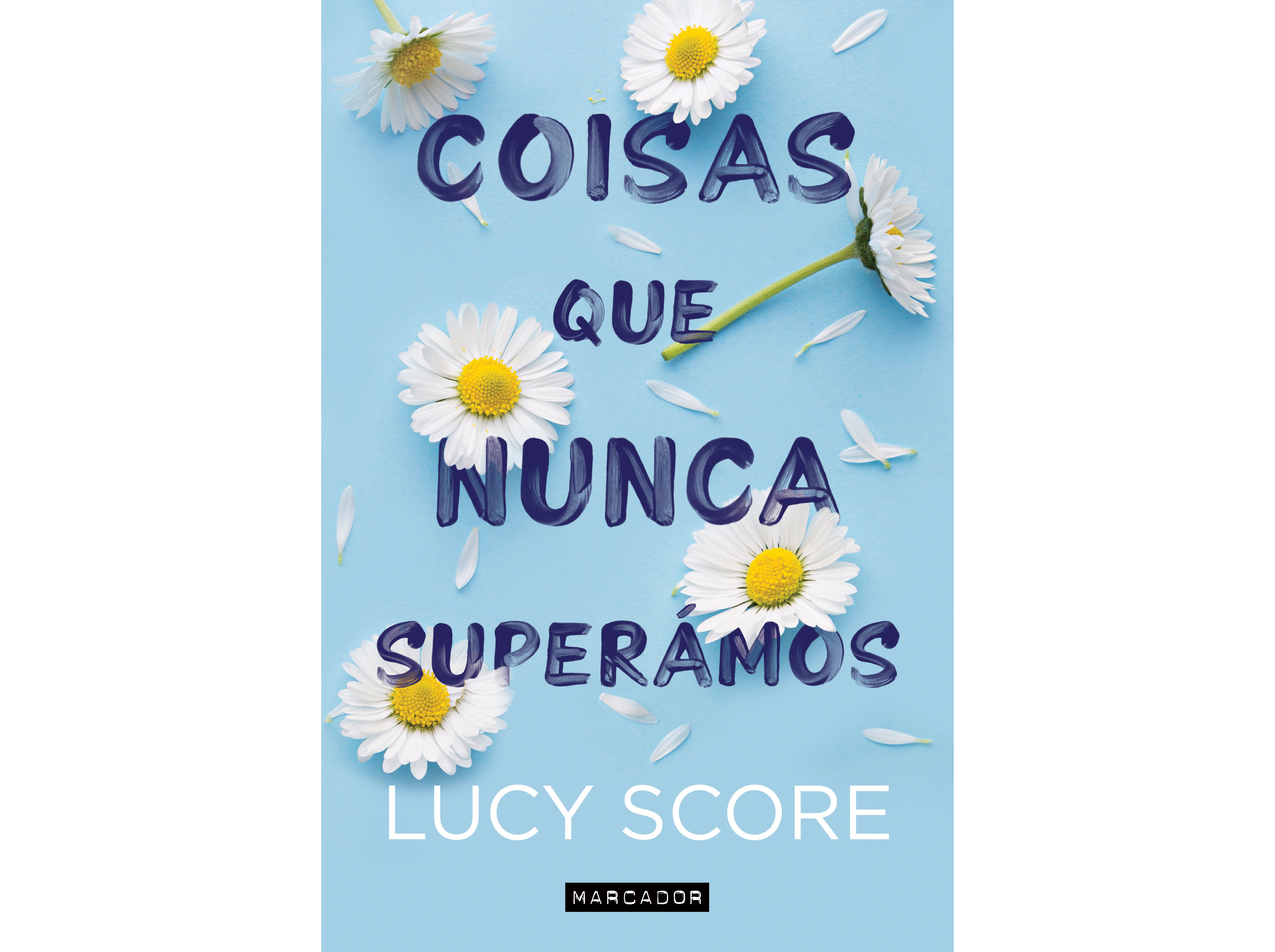 LIVRO COISAS NUNCA SUPERAMOS DE LUCY SCORE
