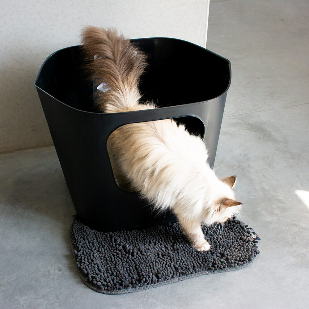 D&D Dean Open Kattenbak