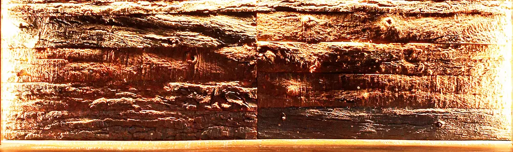 Buffet Bark 4069