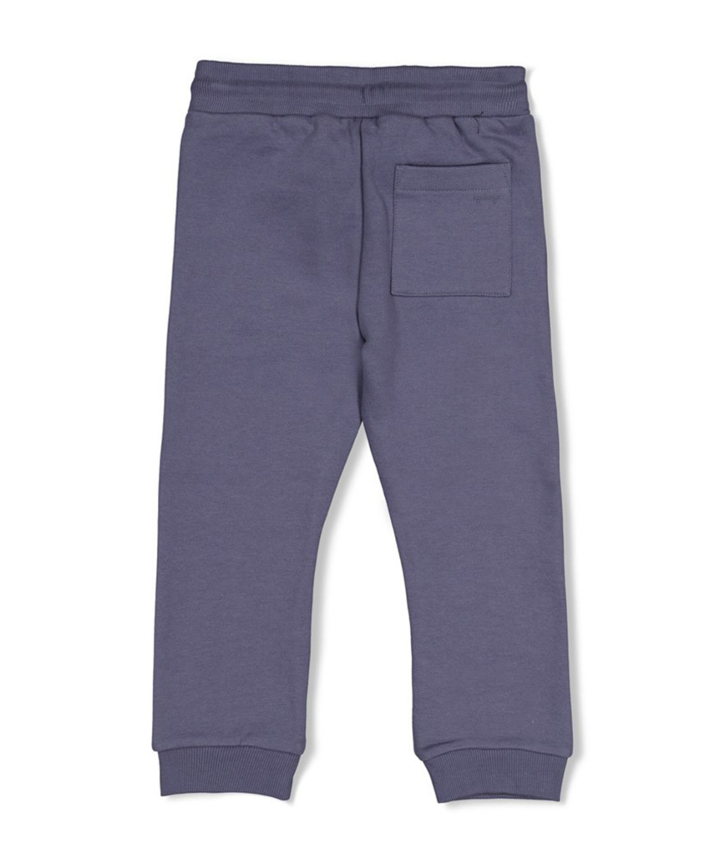 Sturdy Broek - Rock the Earth jongens broek blauw