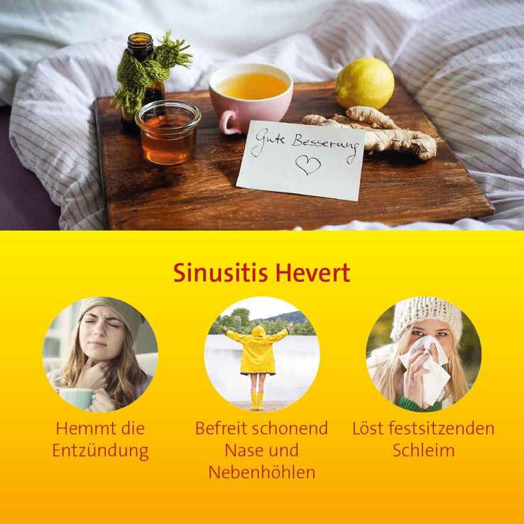 Sinusitis Hevert Tabletten, 300 St