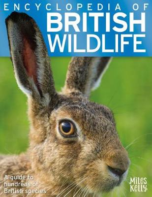 Encyclopedia of British Wildlife (Paperback)