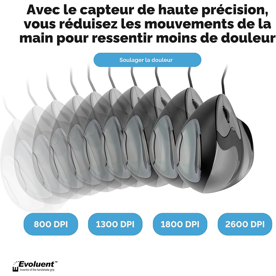 Evoluent VerticalMouse D Small