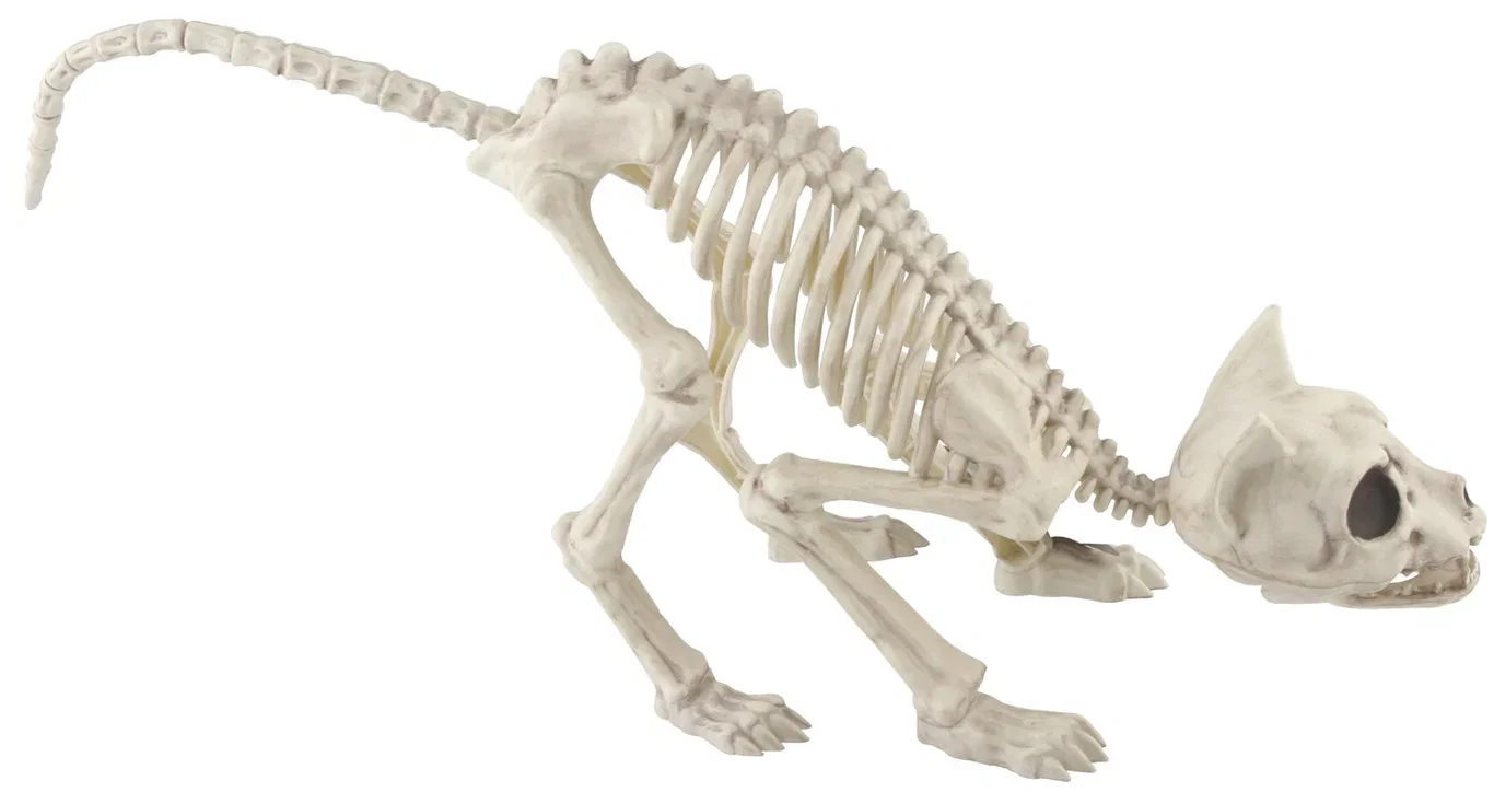 Halloweendekorasjon Katteskjelett Lengde 50 cm