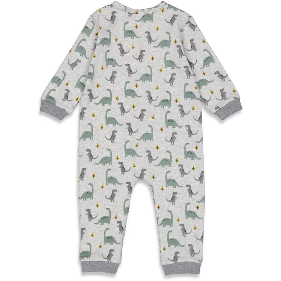Feetje Schlafoverall Premium Dino Grijs Melange