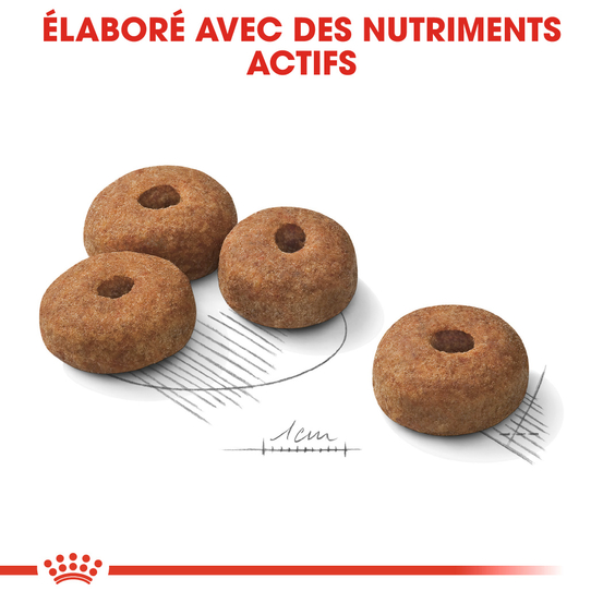 Croquettes chien stérilisé grande taille Maxi Sterilised 12kg