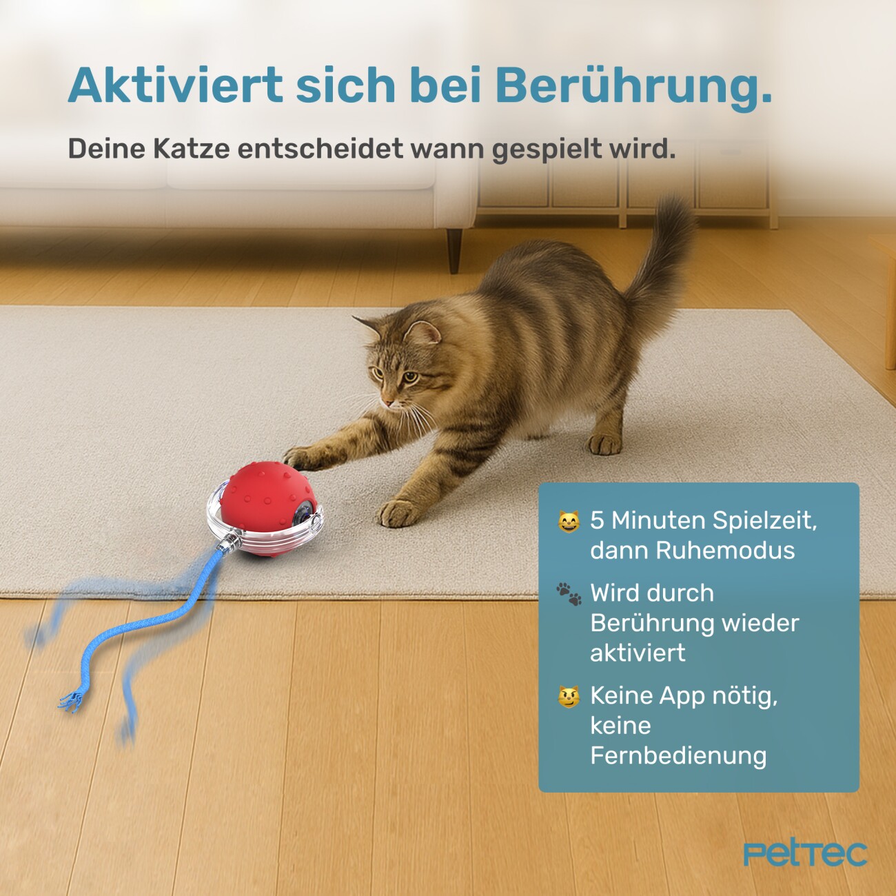 PetTec Interactive Toy Ball 1
