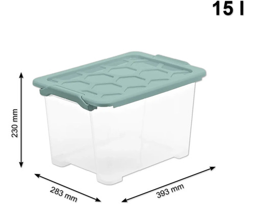 Rotho Box met deksel Evo Safe 15 l transparant 39,3x23x28,3 cm
