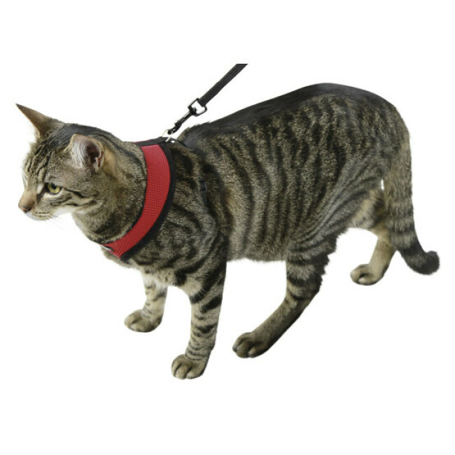 Harnais pour chat Active Kerbl