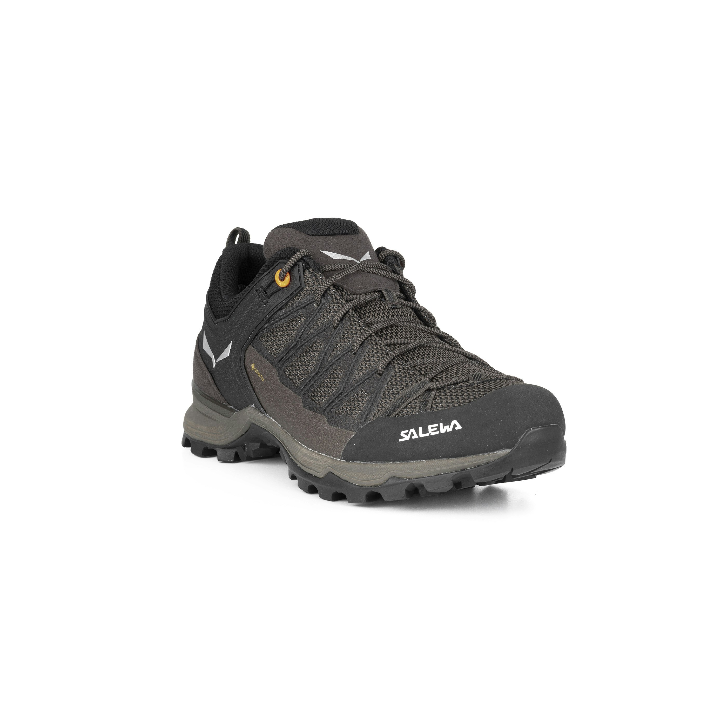 Mountain Trainer Lite GORE-TEX® Herrenschuhe