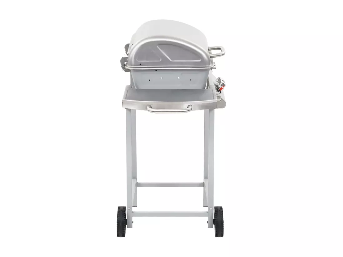 Barbecue à gaz avec 2 zones de cuisson Acier Argenté