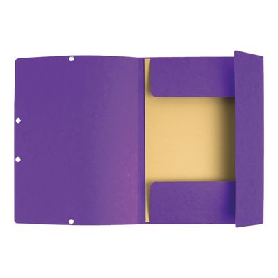 Exacompta Nature Future - Chemise à 3 rabats - A4 - pour 250 feuilles - violet