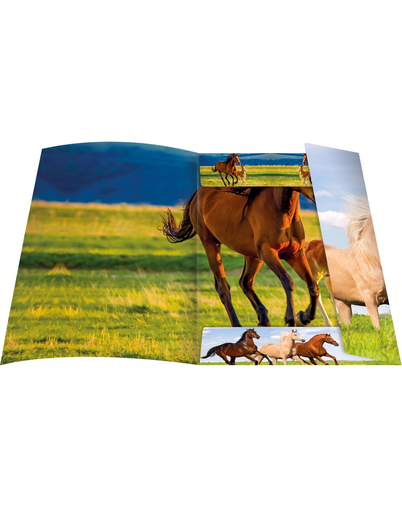 Zeichenmappe FREE HORSES (31x44) A3