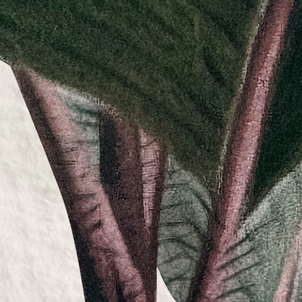 Komar Fototapete »Digitaldruck Vlies -  Jungle Spot - Grösse 400 x 250 cm« bedruckt glatt Wohnzimmer, Schlafzimmer