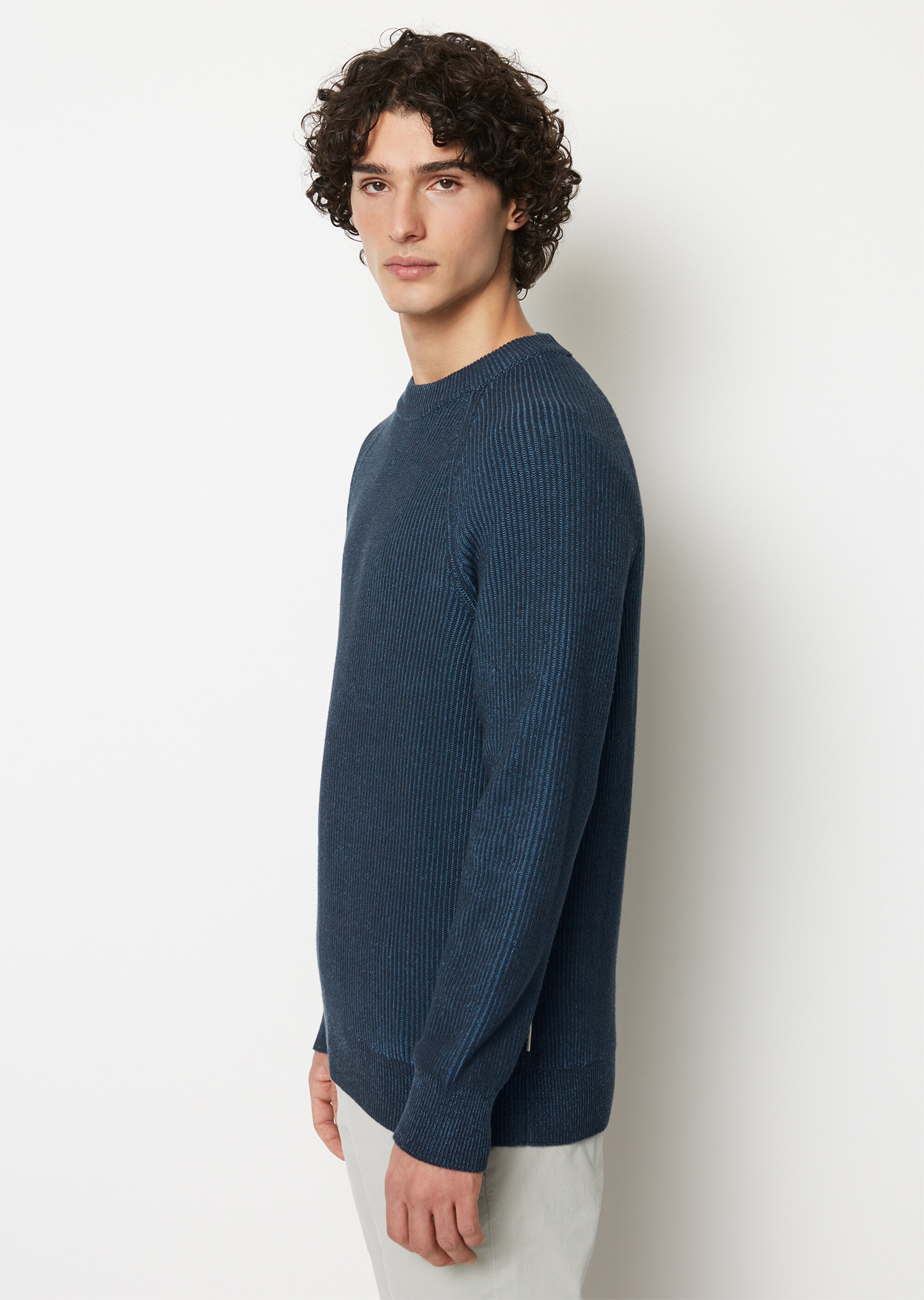 Pullover regular aus reiner Bio-Baumwolle
