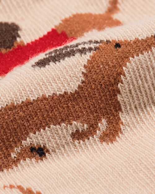 chaussettes en coton teckel - 5 paires marron
