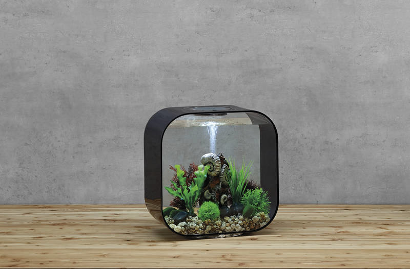 biOrb Life 30 MCR Zwart | Aquarium