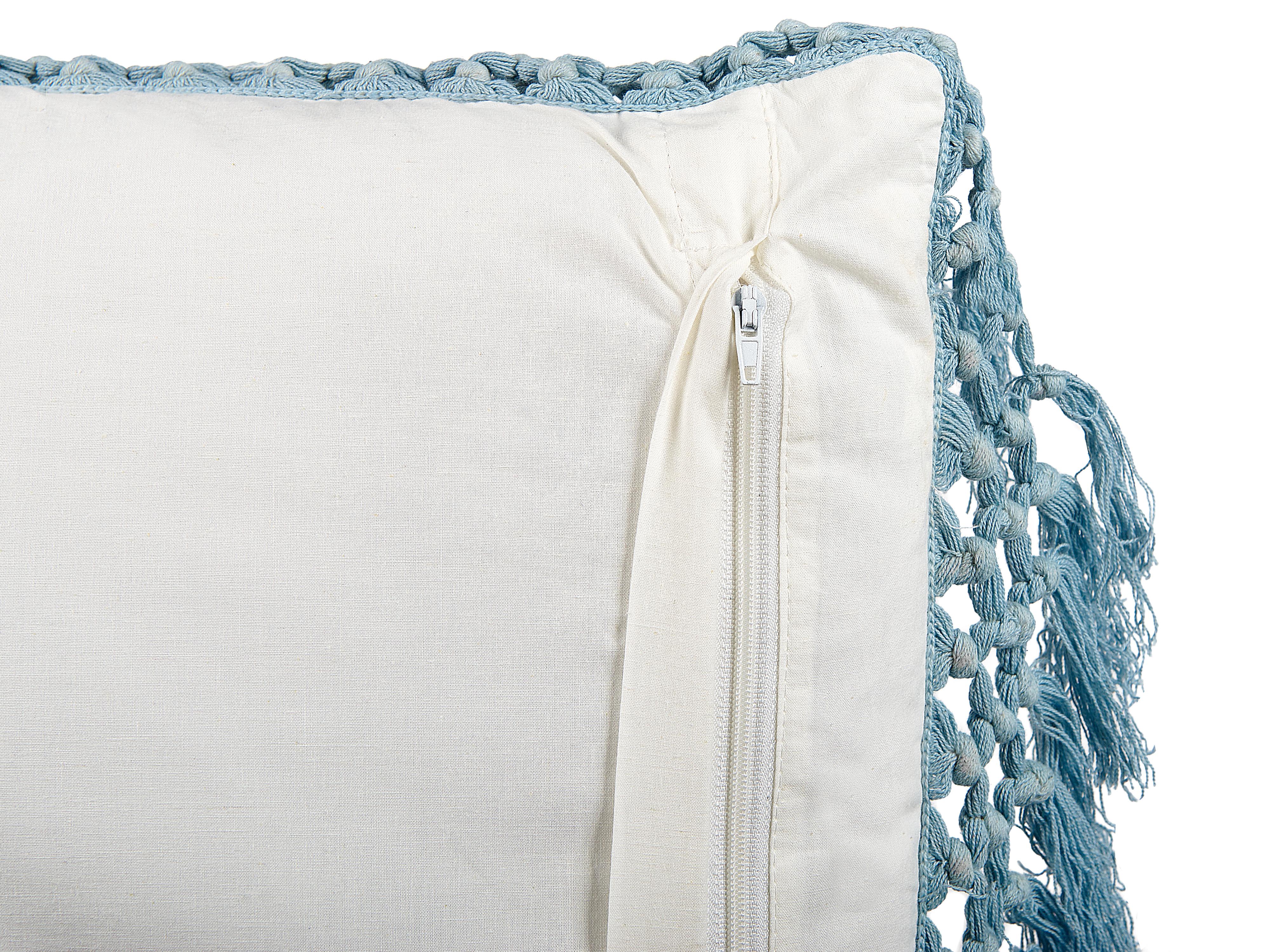 Set van 2 sierkussens PALLIDA Katoen 45 x 45 cm Blauw bloempatroon