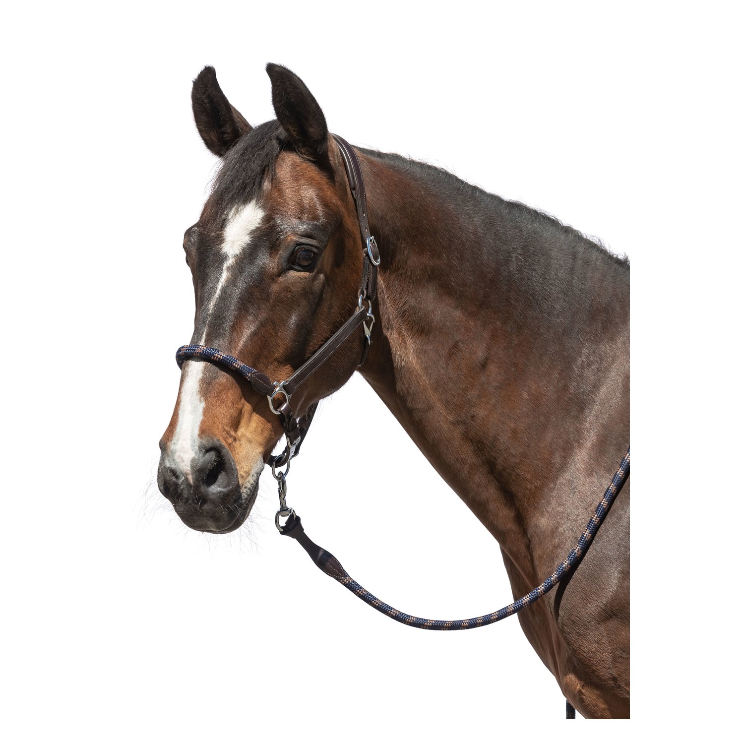 L-pro West Lederhalfter Combination  - brown/navy