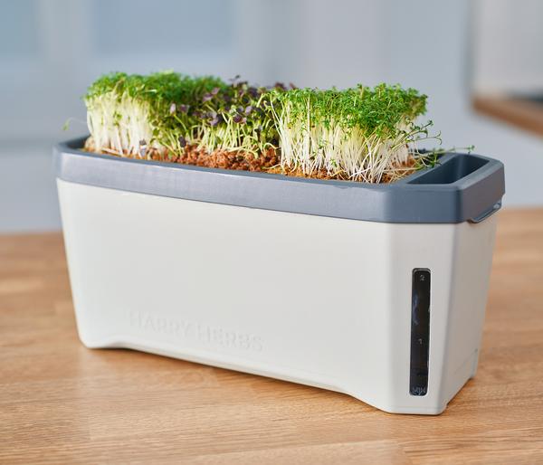 Gusta Garden Kräutertopf Harry Herbs, ca.