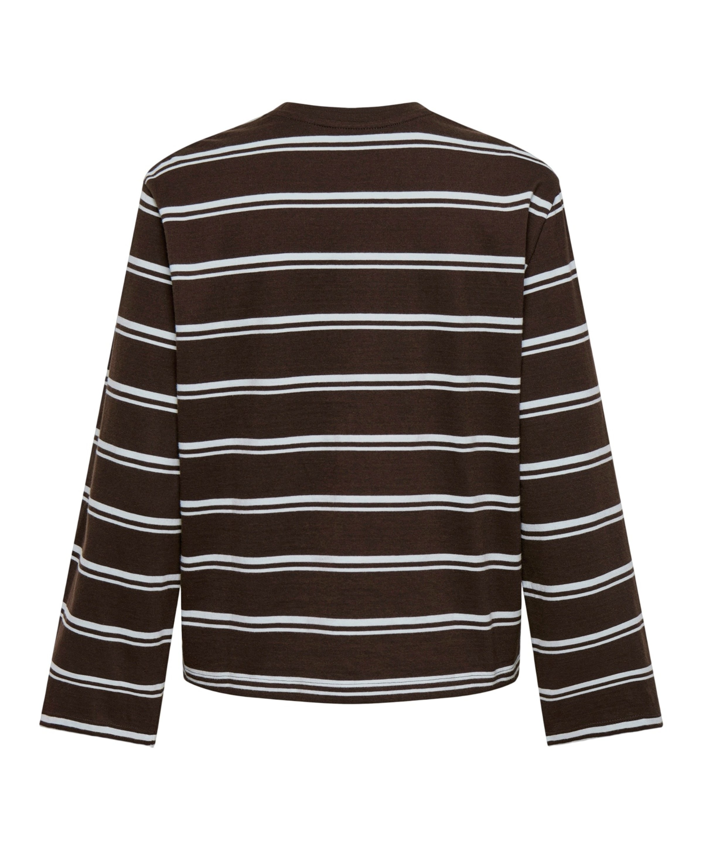 Only Dames longsleeve bruin