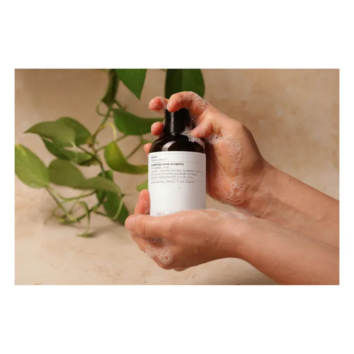 Evolve Shampoing brillance doux Superfood - 250 ml