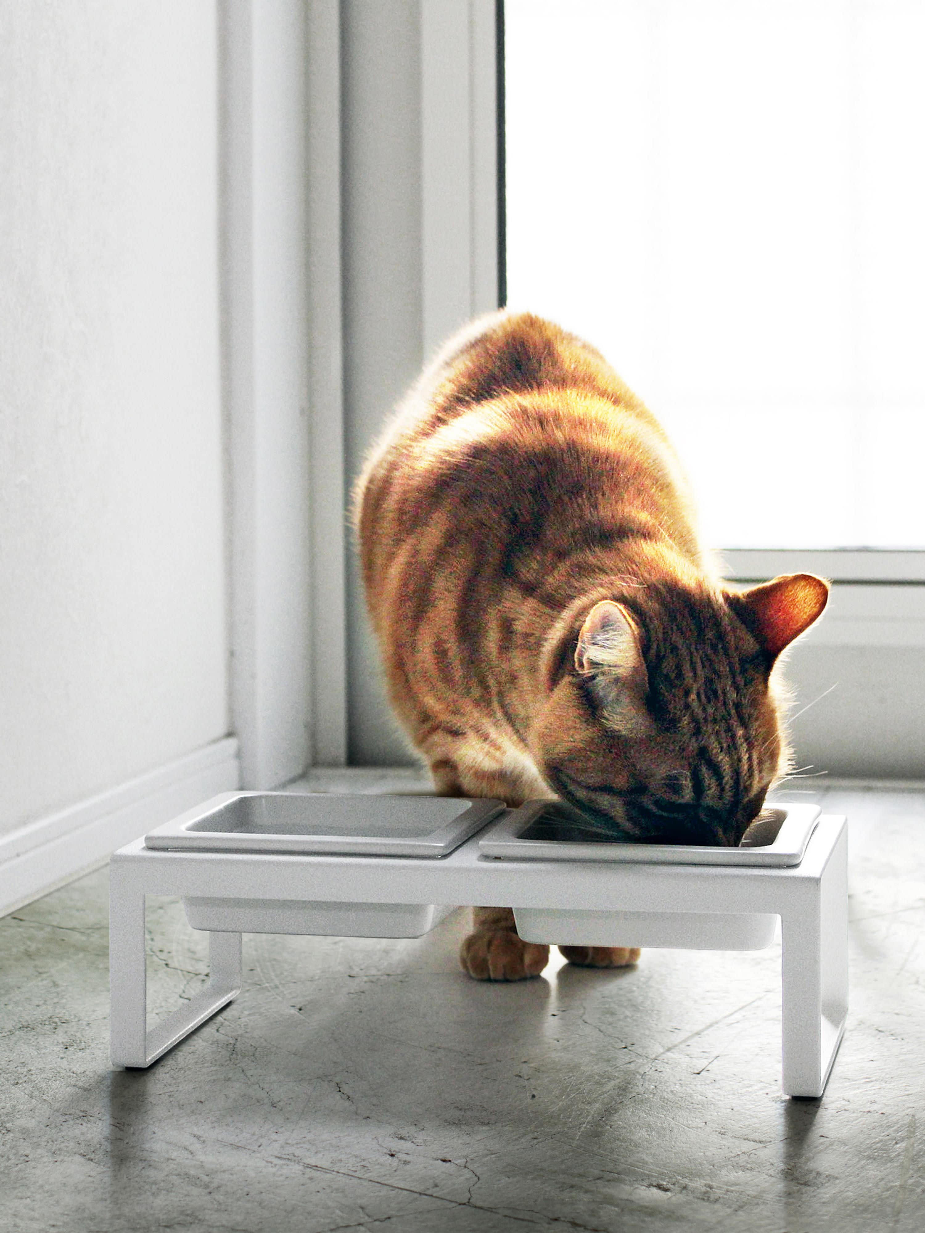 Huisdierenbakjes Tower met standaard