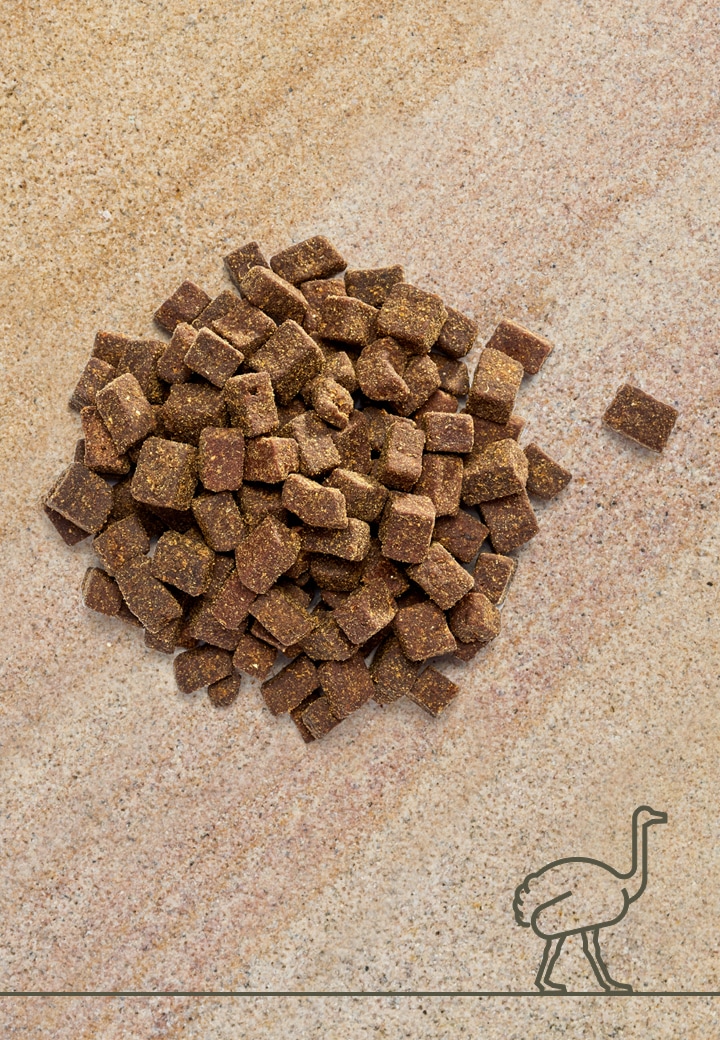 Straussenfleisch-Leckerchen, 100g | 250g | 1000g
