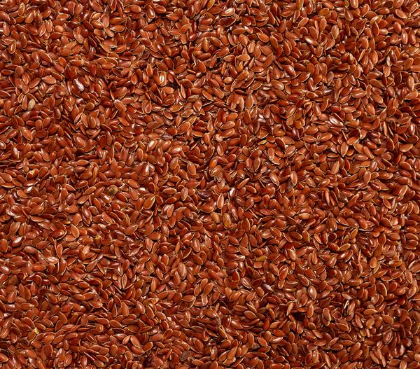 Dehner Lieblinge Leinsamen, 1 kg
