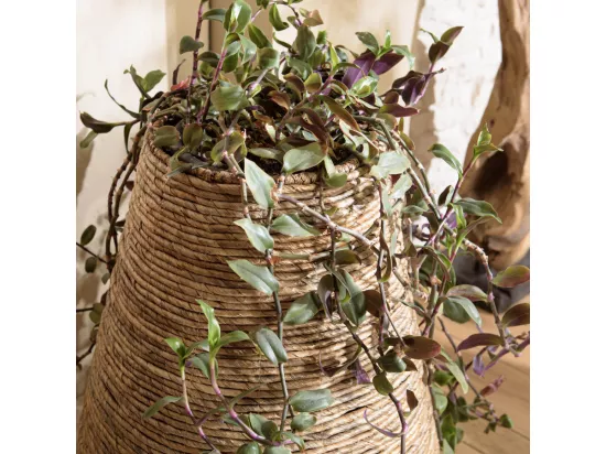 ALIDA - Cache pot modèle moyen en tissage d'abaca naturel