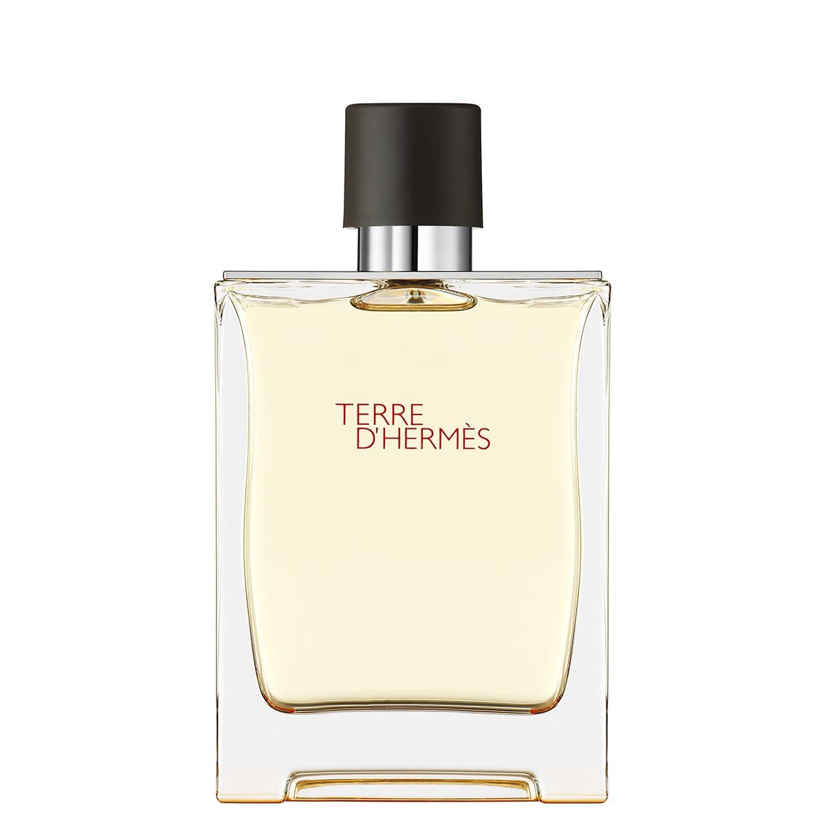 HERMÈS Terre d'Hermès Eau de Toilette