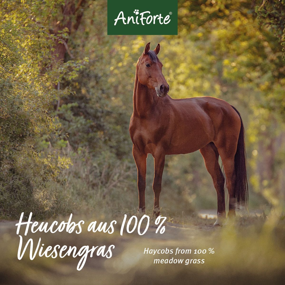 AniForte Vitality Cobs Natur