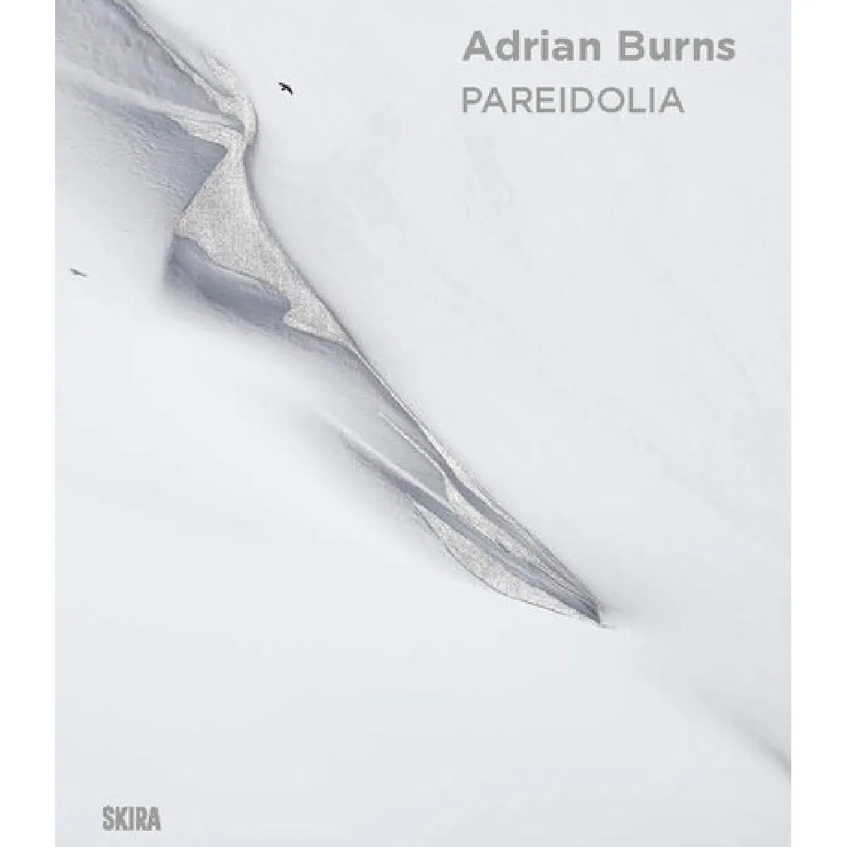 Adrian Burns : pareidolia · Occasion