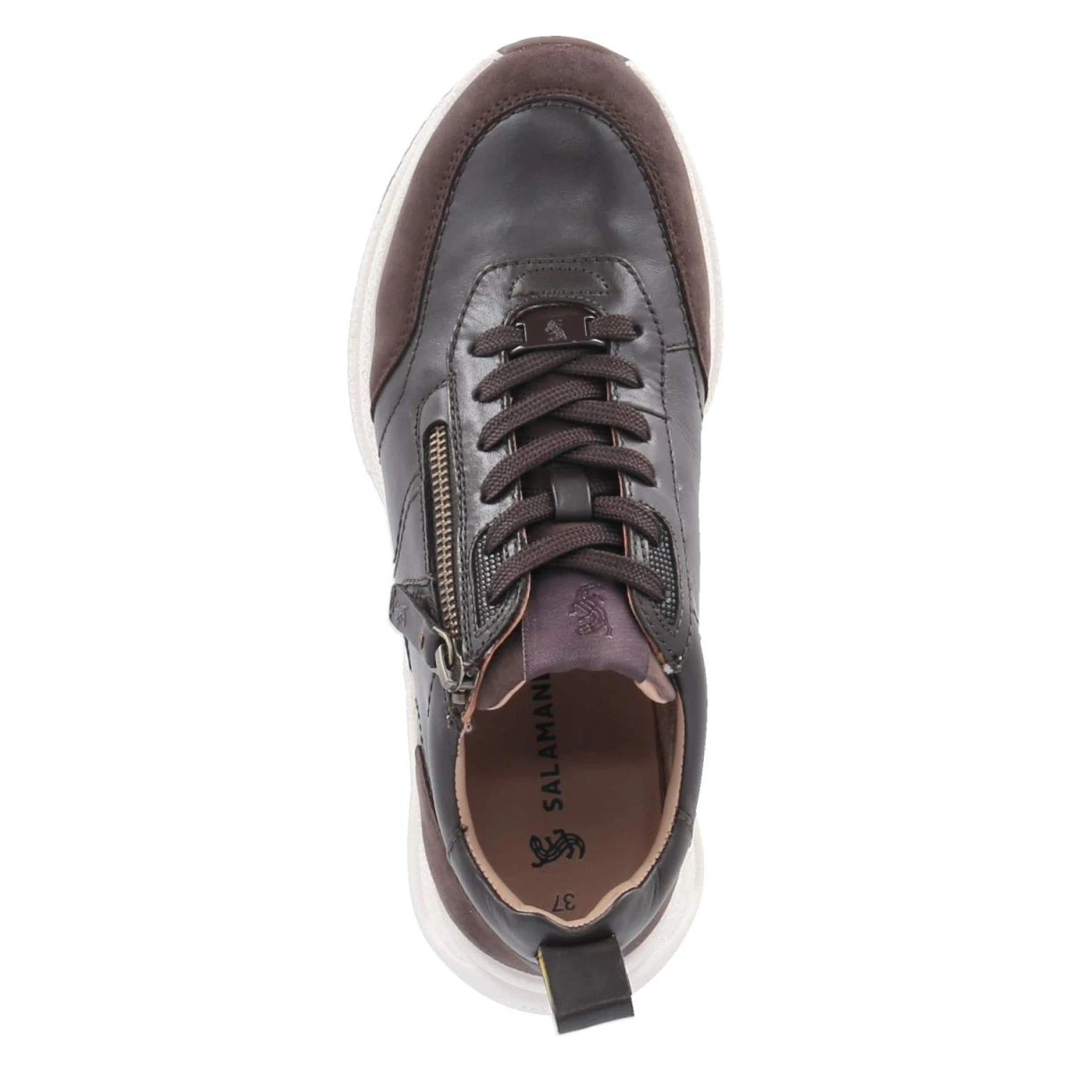 SalamanderLow Sneaker - dark brown / brown