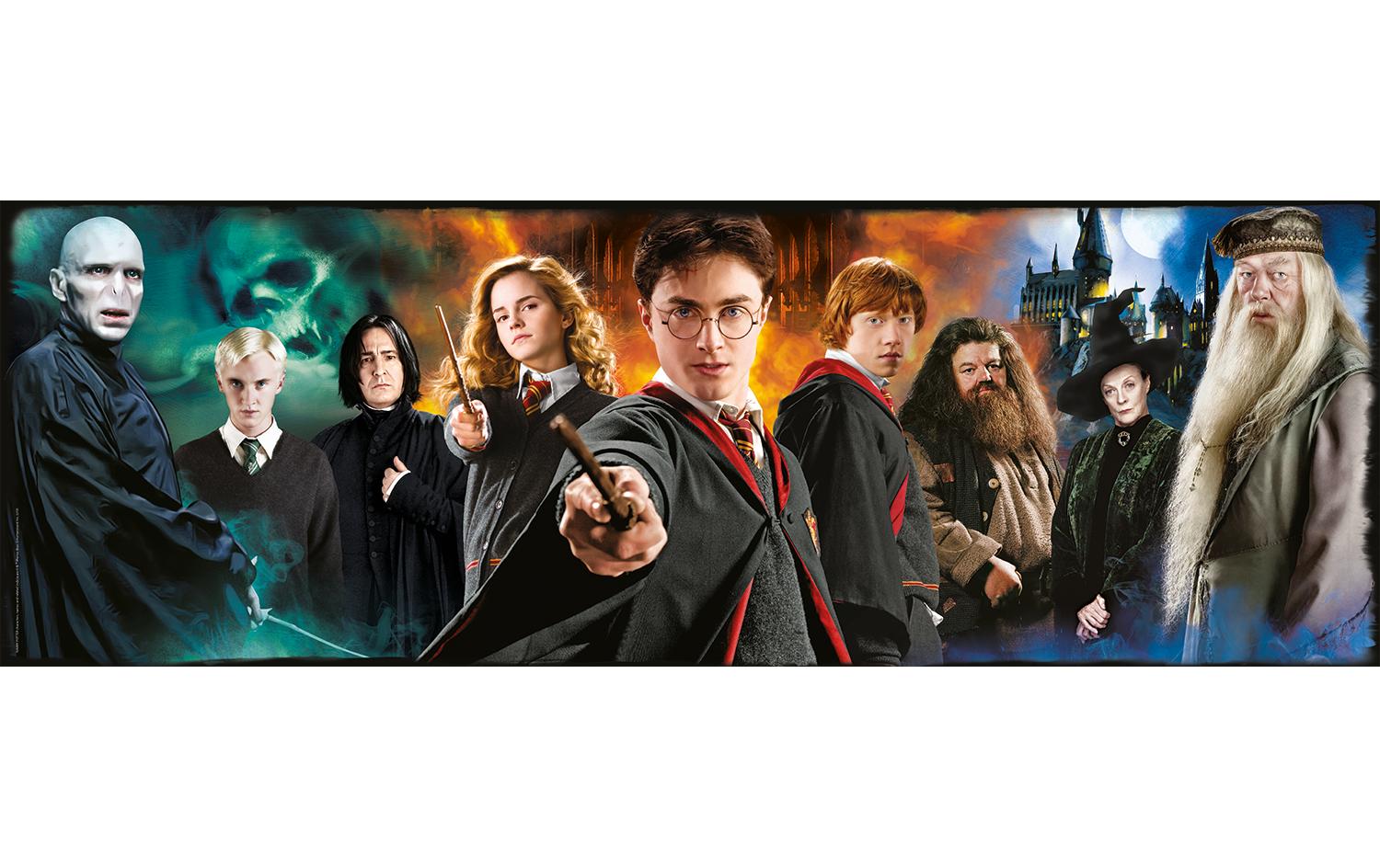 Puzzle Panorama Harry PotterPuzzle mit 1000 Teilen