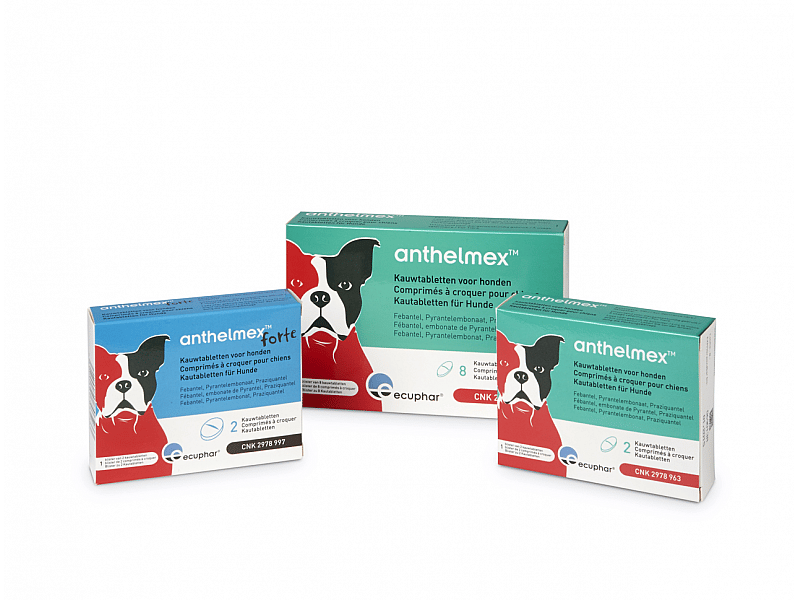 Anthelmex Forte Ecuphar 2 smakelijke kauwtabletten