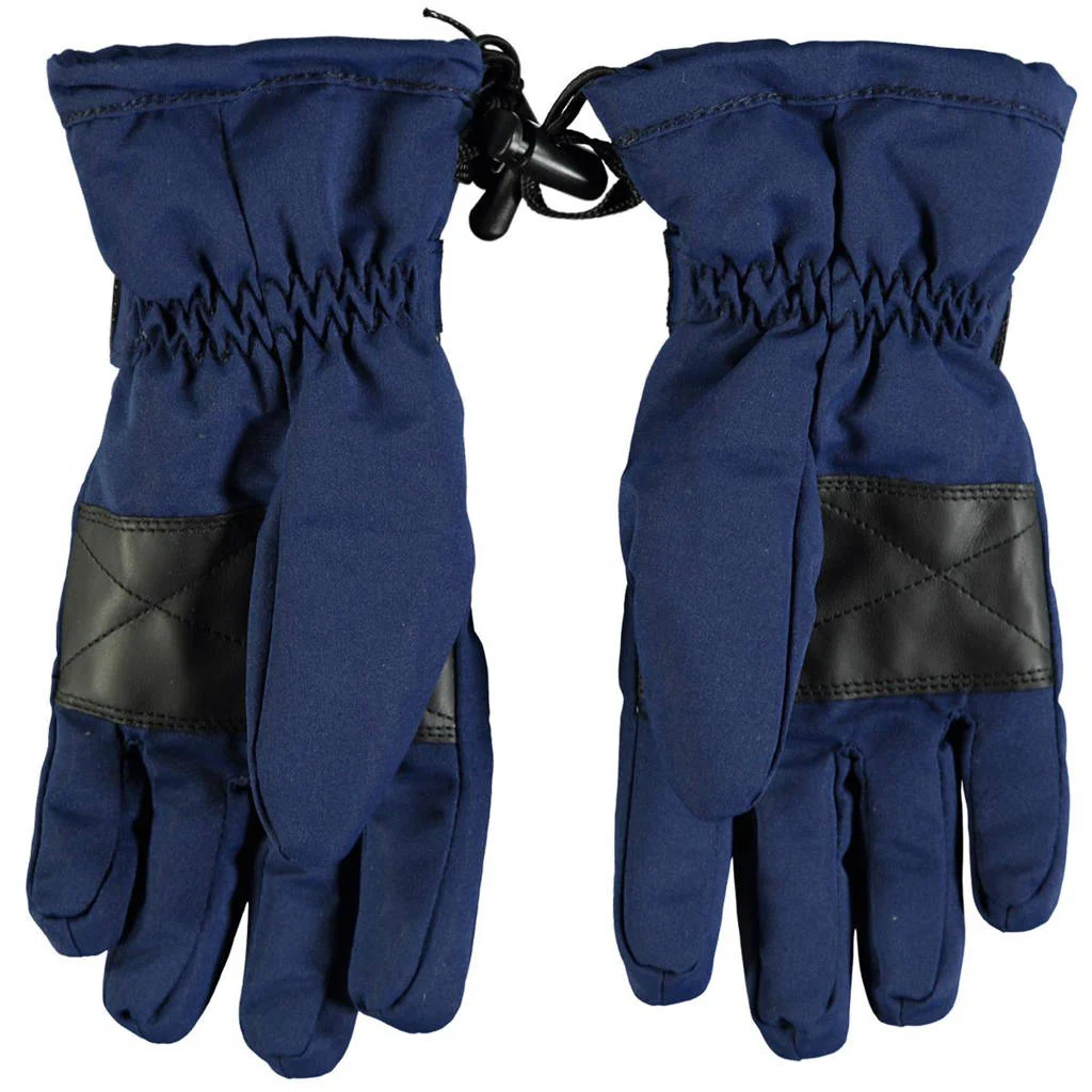 29FT skihandschoenen donkerblauw