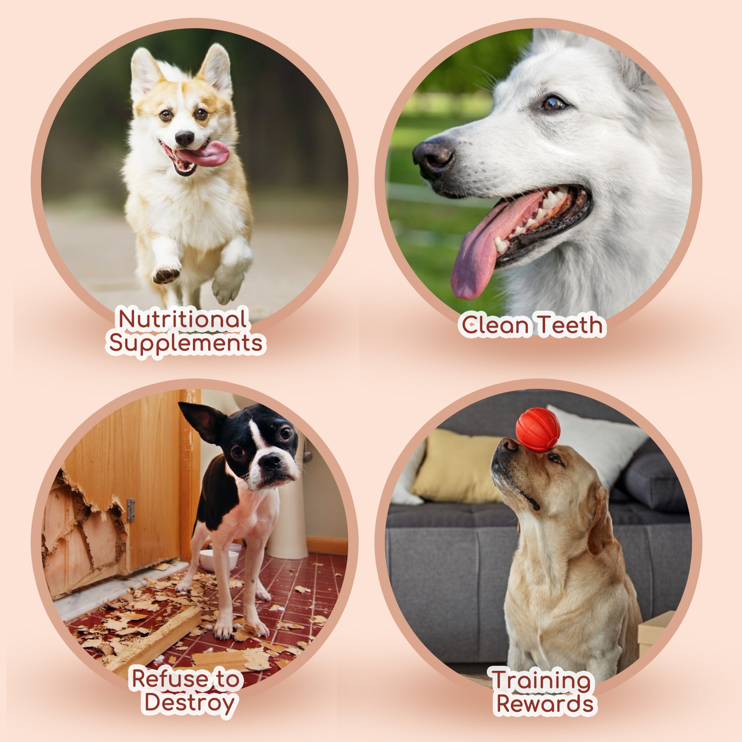 Nobleza - Petiscos para Cães - Chips de Bacalhau Enrolados com Frango - Petiscos Naturais para Cães - Recompensas e Prêmios para Cães - 10 cm de comprimento, 6 pacotes x 80 g