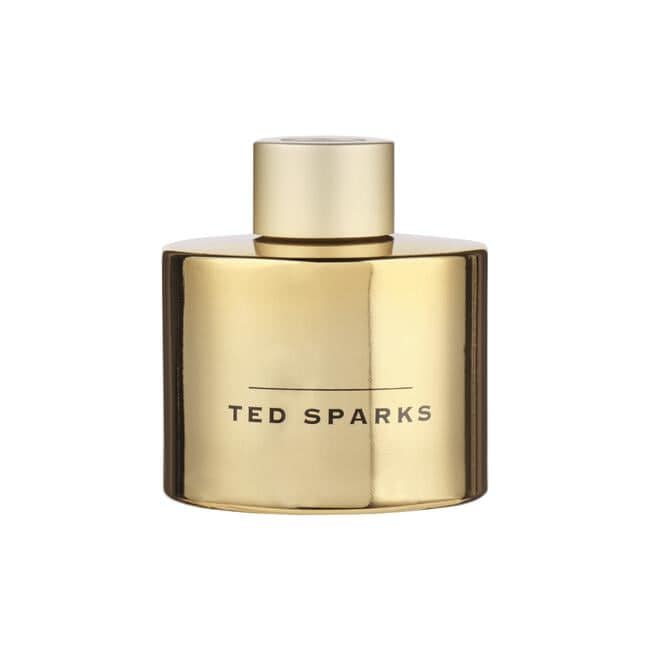 Ted Sparks Giftset Candle & Diffuser Vanilla & Cedarwood