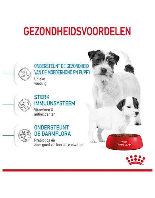 Royal Canin Mini Starter Mother & Babydog - Puppy-Hondenvoer