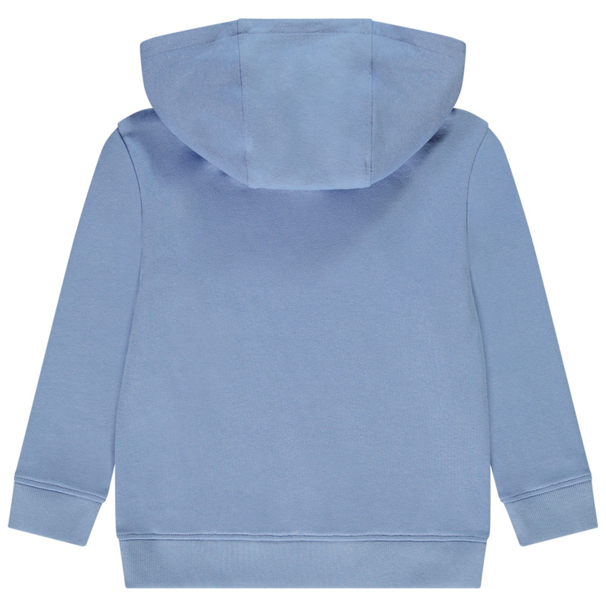 Sweat à capuche en molleton uni pour garçon