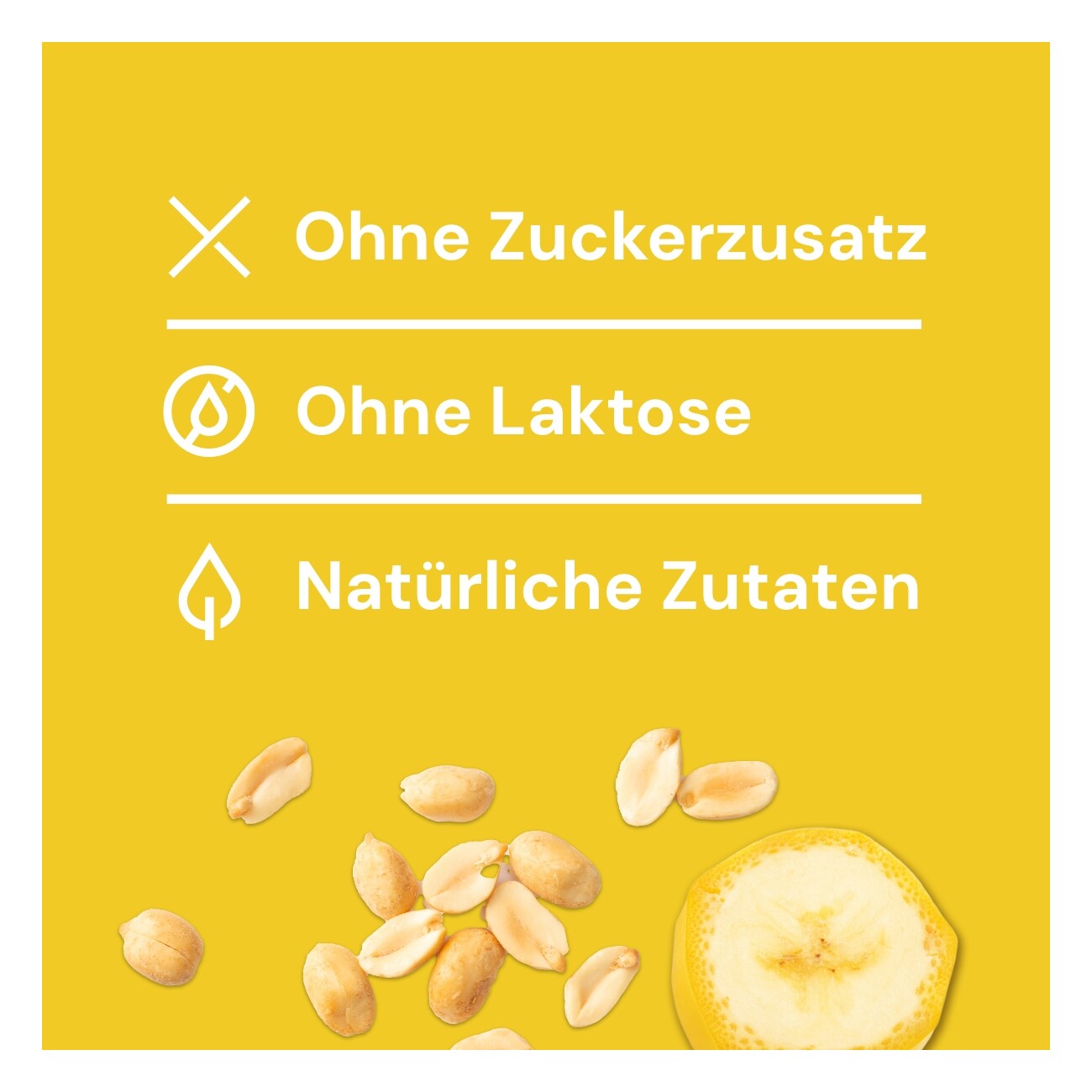 Nutriment Frischemenü Pferd & Lamm 10x400g Hundeeis 6x90ml