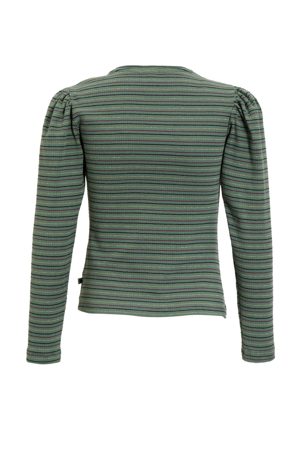 Me & My Monkey longsleeve Runa groen / blauw / roze / goud gestreept