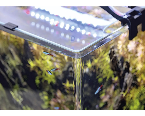 OptiBent 70 wit aquarium, ca. 68 liter, met LED-verlichting, verwarming, binnenfilter en bodem, wit glazen nano-aquarium