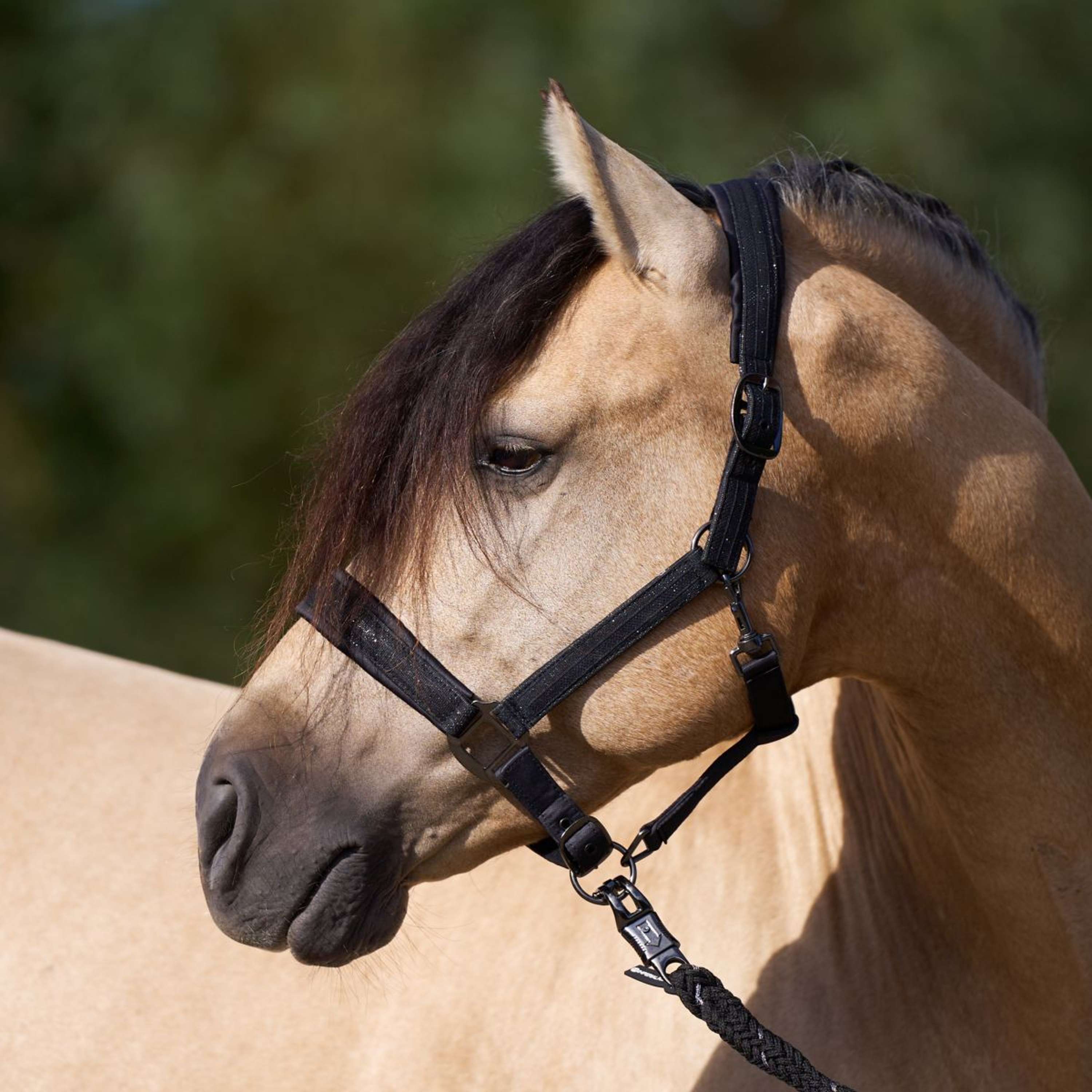 Imperial Riding Halster IRHSparkle Zwart