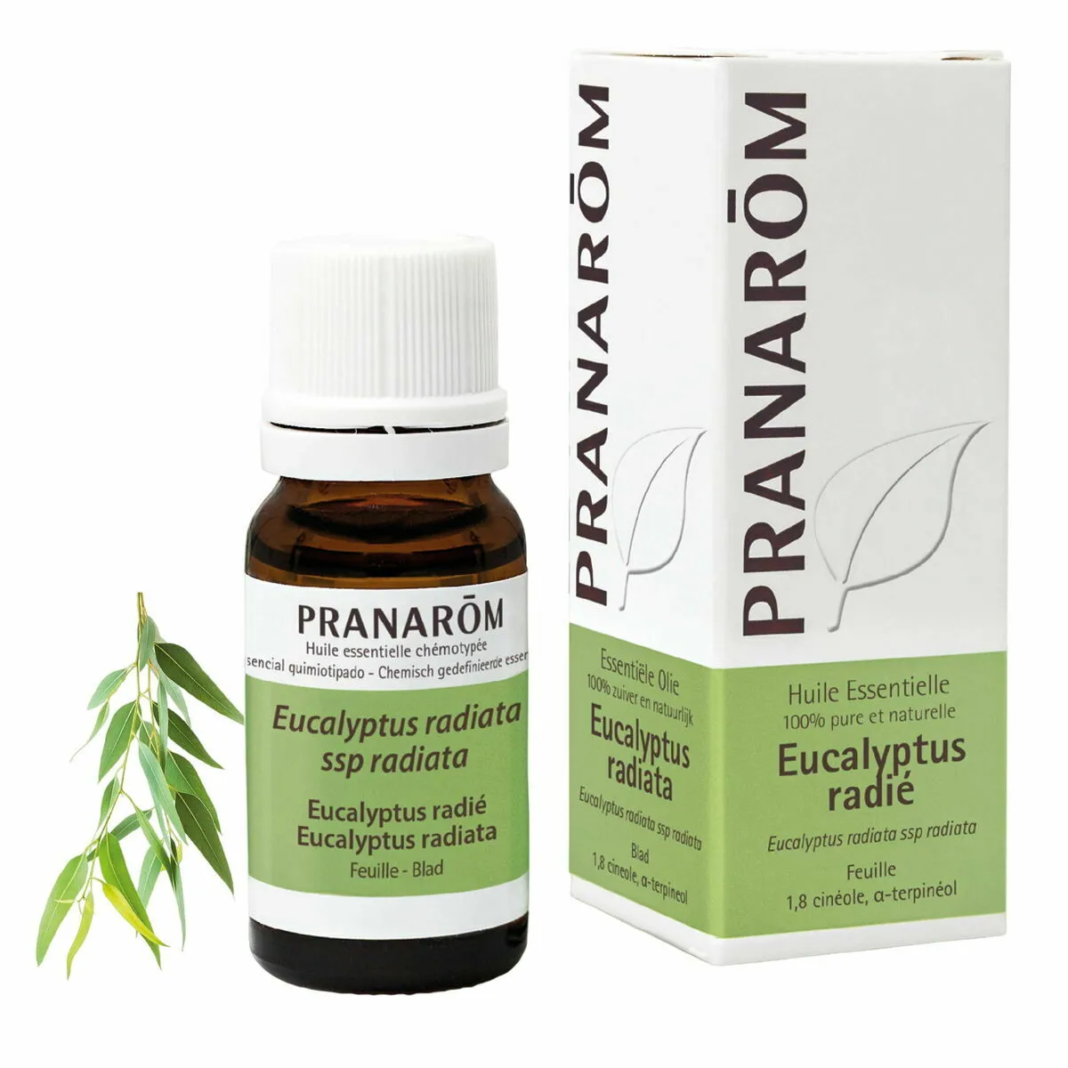 Pranarôm Huile Essentielle Eucalyptus 10ml