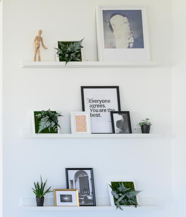 styleGREEN Bild im Dschungeldesign,
