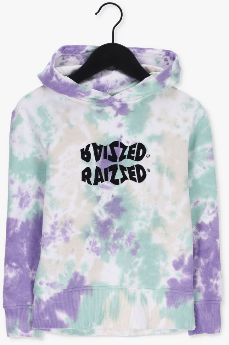 RAIZZED multi raizzed sweater arizona